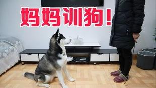 狗哥爆料新鞋视频播放,新鞋视频播放,潮流新品抢先看!