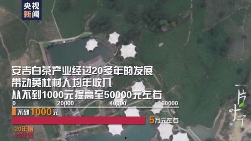一片树叶爆料视频大全,视频大全带你探索自然奥秘  第3张 一片树叶爆料视频大全,视频大全带你探索自然奥秘  第3张