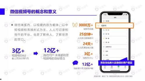 聚龙老师爆料视频下载,深度解析事件背后真相  第3张 聚龙老师爆料视频下载,深度解析事件背后真相  第3张