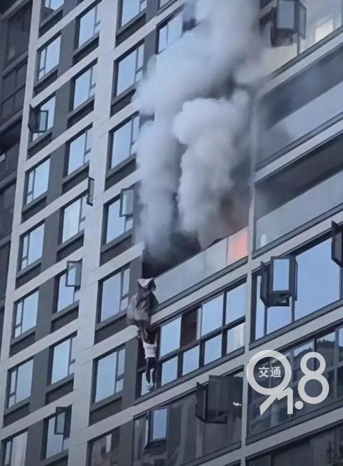 临平新闻爆料最新消息,重大事件引发社会关注!  第3张 临平新闻爆料最新消息,重大事件引发社会关注!  第3张