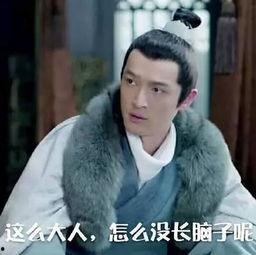 胡歌被女星爆料视频,真相与争议交织的娱乐圈风云  第3张 胡歌被女星爆料视频,真相与争议交织的娱乐圈风云  第3张