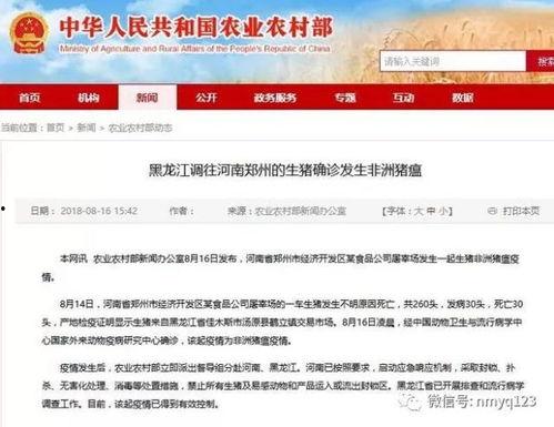 八村最新爆料新闻报道图片,独家图片揭示惊人内幕!”
