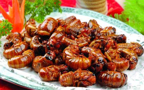 最新新康饭菜爆料图片,最新爆料图片曝光,美味与营养并存!”
