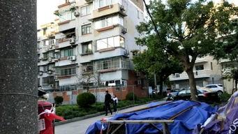 南公村小区爆料视频,真实生活场景引发热议  第3张 南公村小区爆料视频,真实生活场景引发热议  第3张